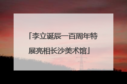 李立诞辰一百周年特展亮相长沙美术馆