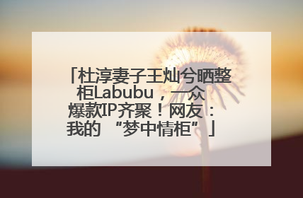 杜淳妻子王灿兮晒整柜Labubu，一众爆款IP齐聚！网友：我的 “梦中情柜”
