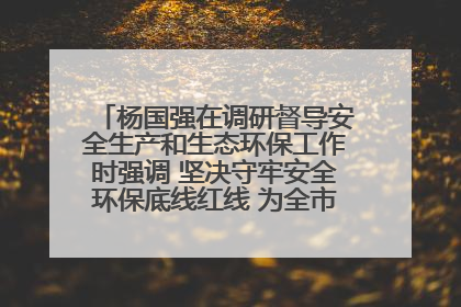 杨国强在调研督导安全生产和生态环保工作时强调 坚决守牢安全环保底线红线 为全市经济社会高质量发展提供坚强保障