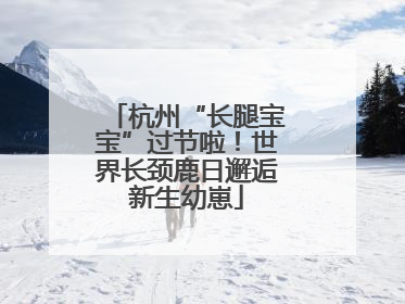 杭州“长腿宝宝”过节啦！世界长颈鹿日邂逅新生幼崽