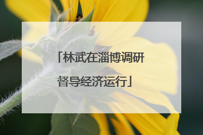 林武在淄博调研督导经济运行