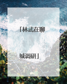 林武在聊城调研