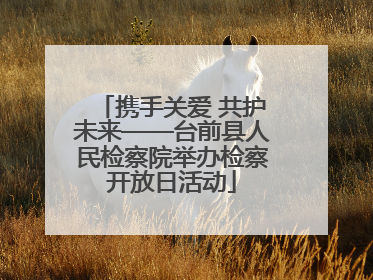 携手关爱 共护未来——台前县人民检察院举办检察开放日活动