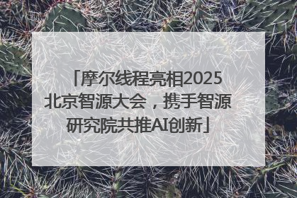 摩尔线程亮相2025北京智源大会，携手智源研究院共推AI创新
