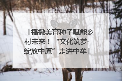 播撒美育种子赋能乡村未来！“文化筑梦·绽放中原”走进中牟