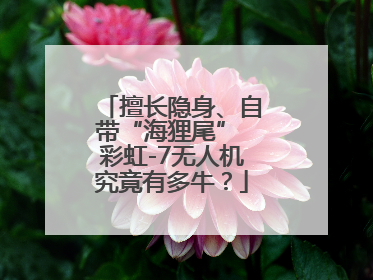擅长隐身、自带“海狸尾” 彩虹-7无人机究竟有多牛？