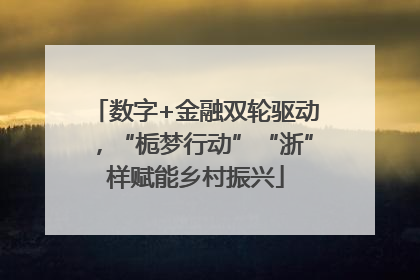 数字+金融双轮驱动，“栀梦行动”“浙”样赋能乡村振兴