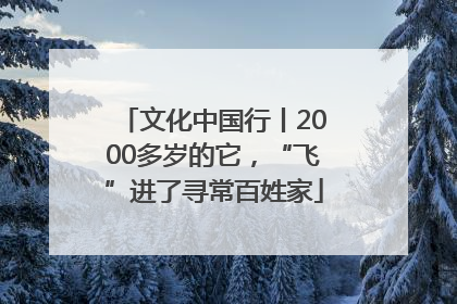 文化中国行丨2000多岁的它，“飞”进了寻常百姓家