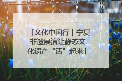 文化中国行｜宁夏 非遗展演让静态文化遗产“活”起来