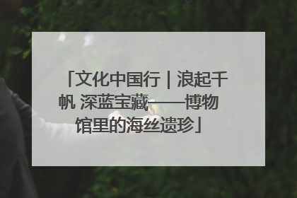 文化中国行｜浪起千帆 深蓝宝藏——博物馆里的海丝遗珍