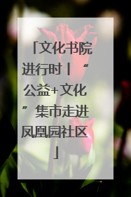 文化书院进行时丨“公益+文化”集市走进凤凰园社区