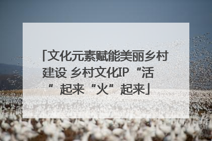 文化元素赋能美丽乡村建设 乡村文化IP“活”起来“火”起来