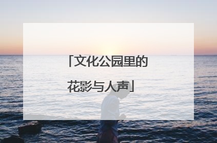 文化公园里的花影与人声