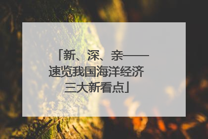 新、深、亲——速览我国海洋经济三大新看点