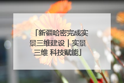 新疆哈密完成实景三维建设｜实景三维 科技赋能