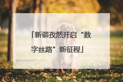 新疆孜然开启“数字丝路”新征程