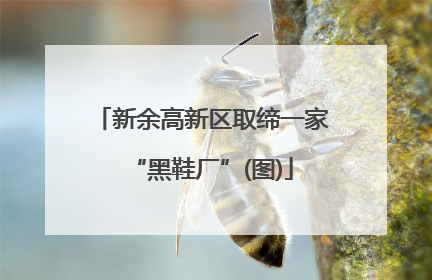 新余高新区取缔一家“黑鞋厂”(图)
