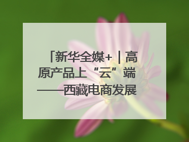 新华全媒+｜高原产品上“云”端——西藏电商发展一线观察
