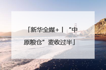 新华全媒+丨“中原粮仓”麦收过半