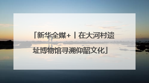 新华全媒+丨在大河村遗址博物馆寻溯仰韶文化
