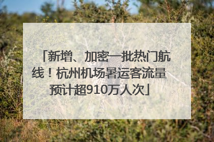 新增、加密一批热门航线！杭州机场暑运客流量预计超910万人次