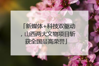 新媒体+科技双驱动，山西两大文物项目斩获全国最高荣誉