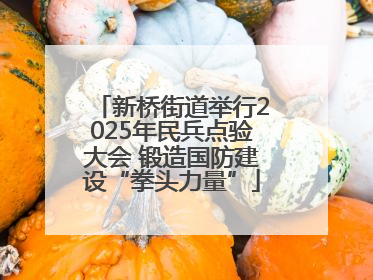 新桥街道举行2025年民兵点验大会 锻造国防建设“拳头力量”