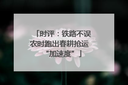 时评：铁路不误农时跑出春耕抢运“加速度”