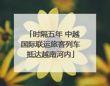 时隔五年 中越国际联运旅客列车抵达越南河内
