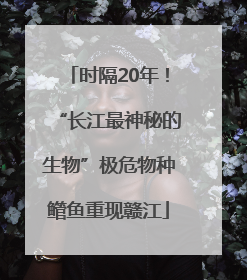 时隔20年！“长江最神秘的生物”极危物种鳤鱼重现赣江