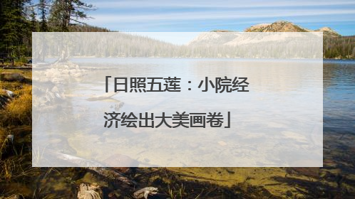 日照五莲：小院经济绘出大美画卷