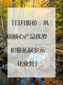 日月股份：巩固核心产品优势 积极拓展多元化业务