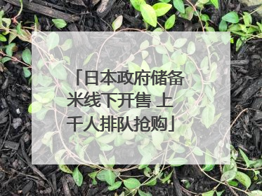 日本政府储备米线下开售 上千人排队抢购