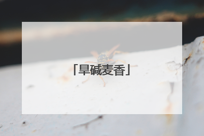 旱碱麦香