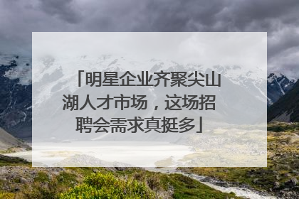 明星企业齐聚尖山湖人才市场，这场招聘会需求真挺多