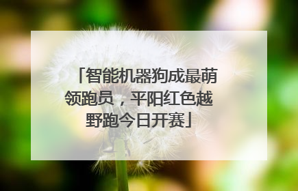 智能机器狗成最萌领跑员，平阳红色越野跑今日开赛
