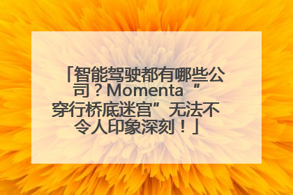 智能驾驶都有哪些公司？Momenta“穿行桥底迷宫”无法不令人印象深刻！
