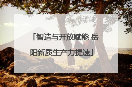 智造与开放赋能 岳阳新质生产力提速