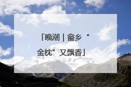 晚潮｜畲乡“金枕”又飘香