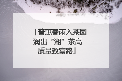 普惠春雨入茶园 润出“湘”茶高质量致富路