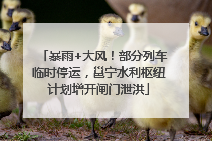 暴雨+大风！部分列车临时停运，邕宁水利枢纽计划增开闸门泄洪