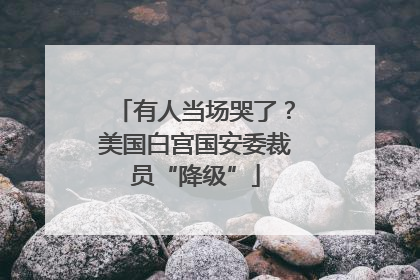 有人当场哭了？美国白宫国安委裁员“降级”