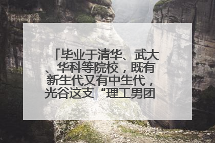 毕业于清华、武大、华科等院校,既有新生代又有中生代,光谷这支“理工男团”为何“出道”?