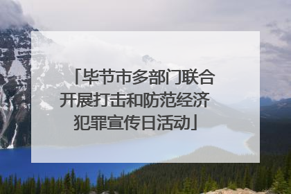 毕节市多部门联合开展打击和防范经济犯罪宣传日活动