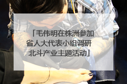 毛伟明在株洲参加省人大代表小组调研北斗产业主题活动