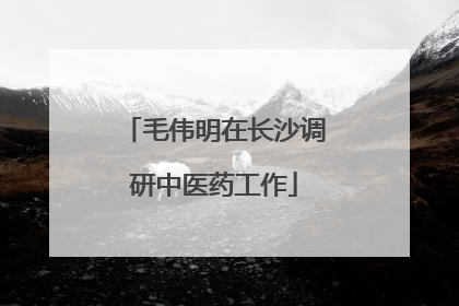 毛伟明在长沙调研中医药工作