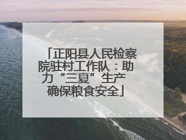 正阳县人民检察院驻村工作队：助力“三夏”生产 确保粮食安全