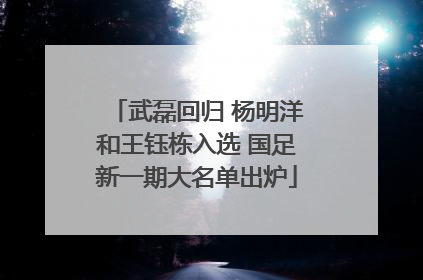 武磊回归 杨明洋和王钰栋入选 国足新一期大名单出炉