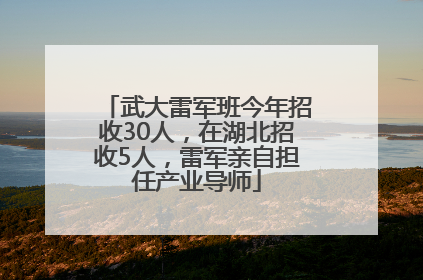 武大雷军班今年招收30人，在湖北招收5人，雷军亲自担任产业导师