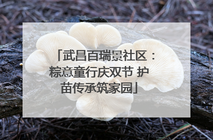武昌百瑞景社区：粽意童行庆双节 护苗传承筑家园